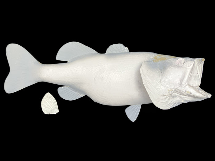 10-POUND LARGEMOUTH BASS BLANK, STANDARD