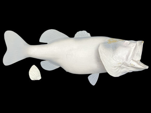 10-POUND LARGEMOUTH BASS BLANK, STANDARD