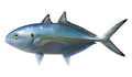 11-INCH BLUE RUNNER BAITFISH MOUNT (L)