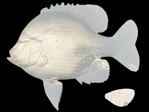 12-INCH BLUEGILL BLANK (L), STANDARD