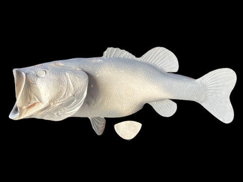 12-POUND LARGEMOUTH BASS BLANK, STANDARD