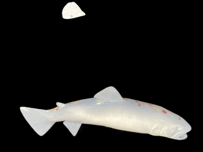 19-INCH BROWN TROUT BLANK, STANDARD
