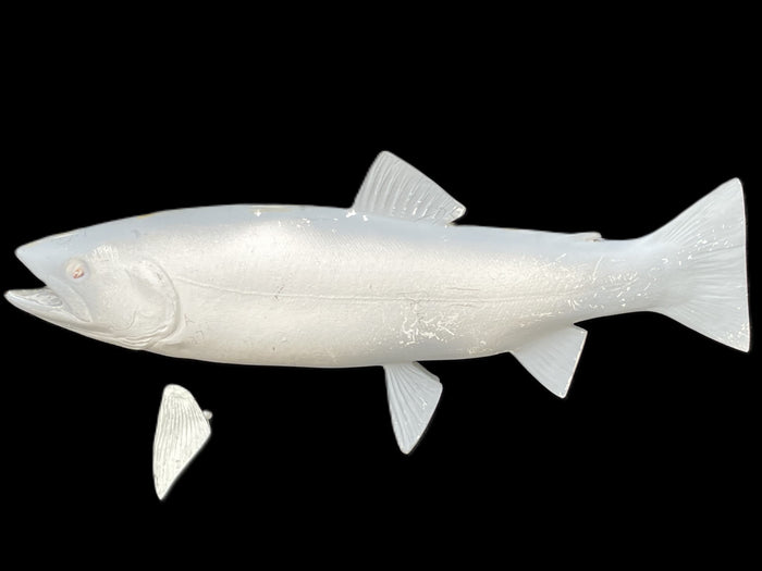 19-INCH RAINBOW TROUT BLANK, STANDARD