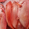 2 x SMALL RED FISH VALUE PACK WITH HEAD -800G  EACH