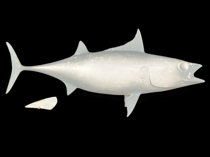 20-INCH BONITO BLANK, STANDARD
