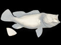 20-INCH PEACOCK BASS BLANK (R), STANDARD
