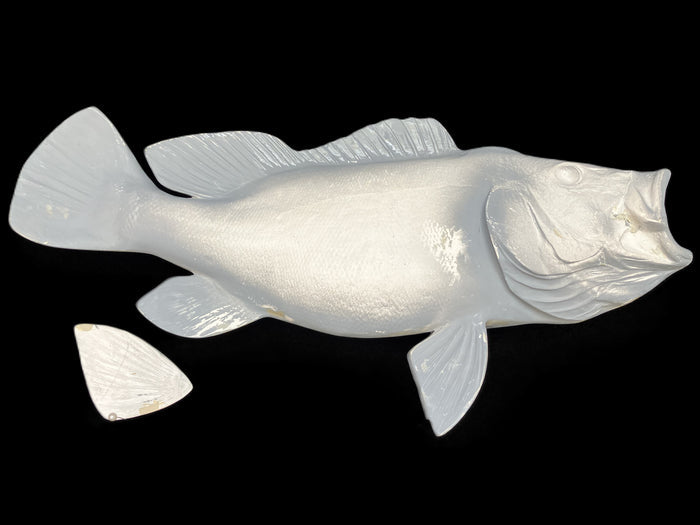 20-INCH PEACOCK BASS BLANK (R), STANDARD