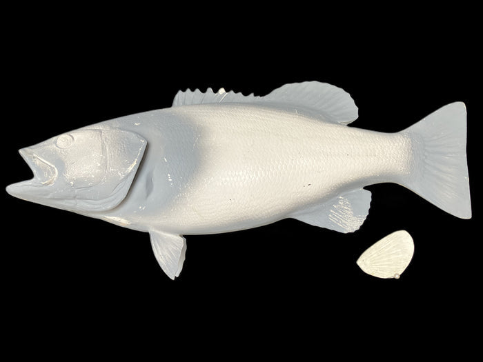 20-INCH SMALLMOUTH BASS BLANK, STANDARD