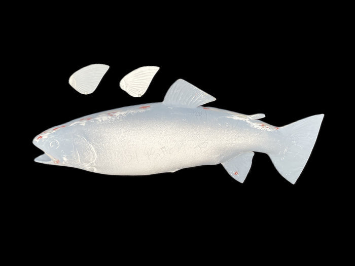 21-INCH RAINBOW TROUT BLANK, STANDARD