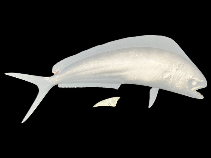 22-INCH BULL DOLPHIN BLANK, STANDARD