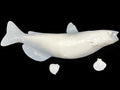 22-INCH CATFISH BLANK (R), STANDARD