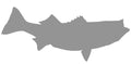 22-INCH STRIPED BASS BLANK, STANDARD