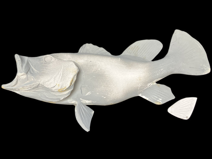 23-INCH PEACOCK BASS BLANK, STANDARD