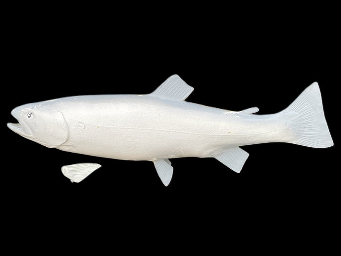 23-INCH RAINBOW TROUT BLANK, STANDARD