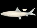 26-INCH BONEFISH BLANK, STANDARD