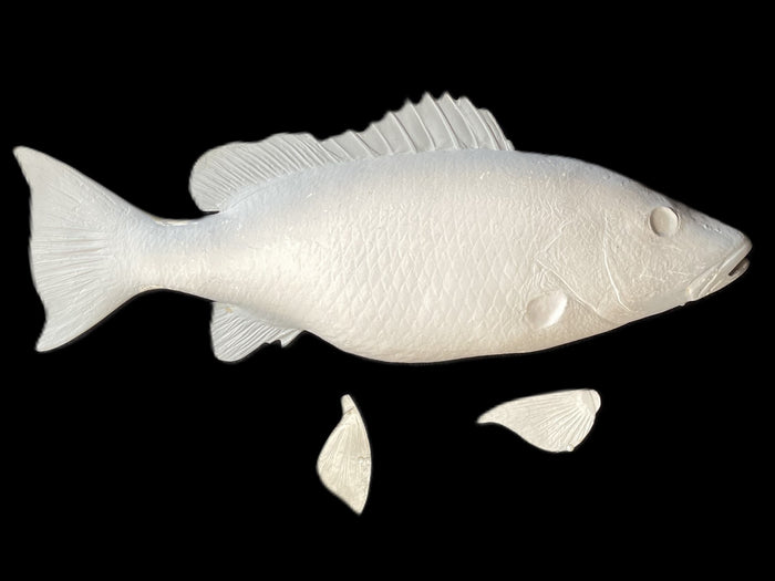 26-INCH MANGROVE SNAPPER BLANK, STANDARD