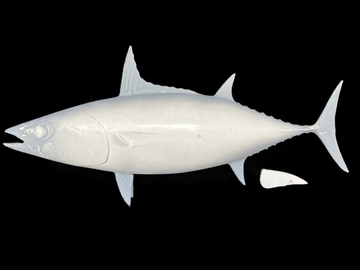 26-INCH SKIPJACK TUNA BLANK, STANDARD