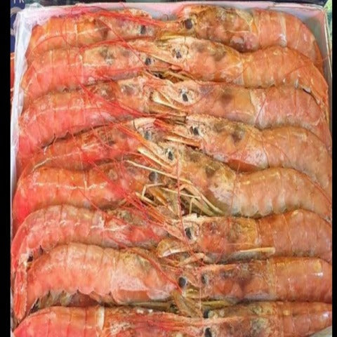 2KG KING PRAWNS HEAD ON *Promo*