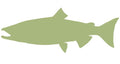 41-INCH KING SALMON BLANK, ECONOMICAL