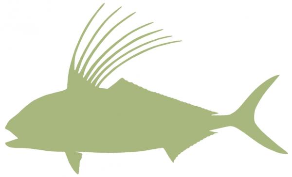 43-INCH ROOSTERFISH BLANK, ECONOMICAL