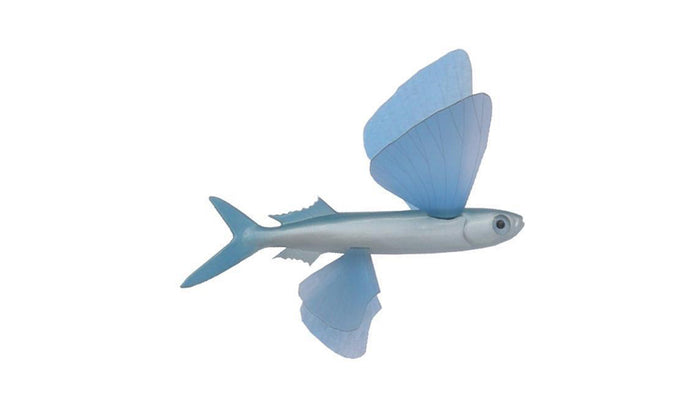 5-INCH FLYING FISH BAITFISH MOUNT (R)
