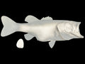 8.5-POUND LARGEMOUTH BASS BLANK, STANDARD