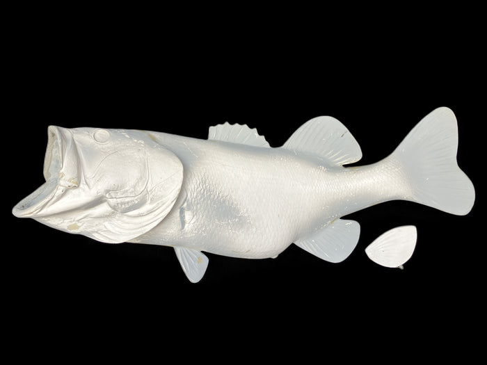 9-POUND LARGEMOUTH BASS BLANK, STANDARD