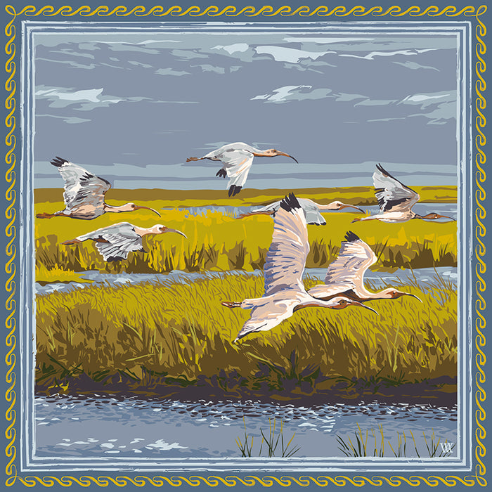 Blue & Gold Marsh Flyer Framed Scarf Print