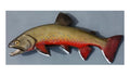 BROOK TROUT, MINIATURE