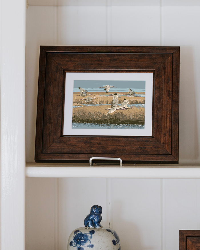 Buttercup Marsh Flyer