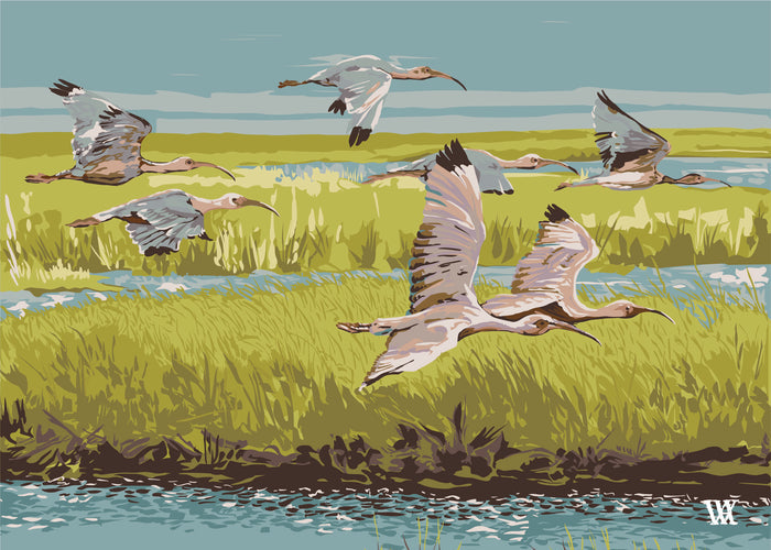 Chartreuse Marsh Flyer