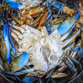 CLEANED BLUE CRAB 800G