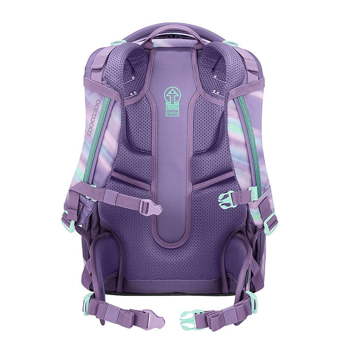 Coocazoo Mate Schulrucksack Arctic Lights