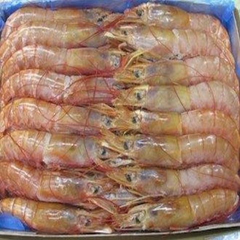 DEVEINED  KING PRAWNS HEAD ON 900G