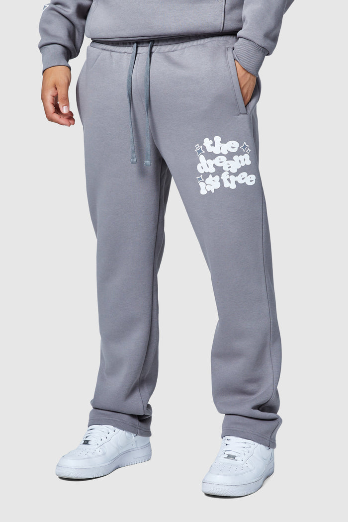 Dream Is Free 2.0 Jogger - Steel