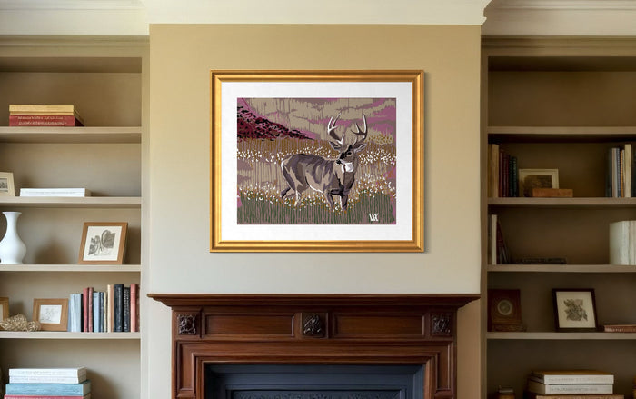 Dusty Rose Still Buck