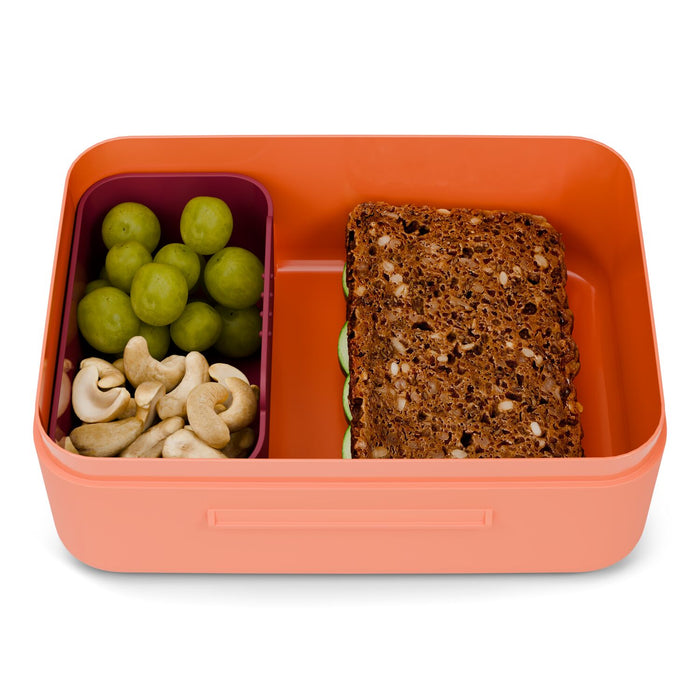 Ergobag Brotdose Tiger