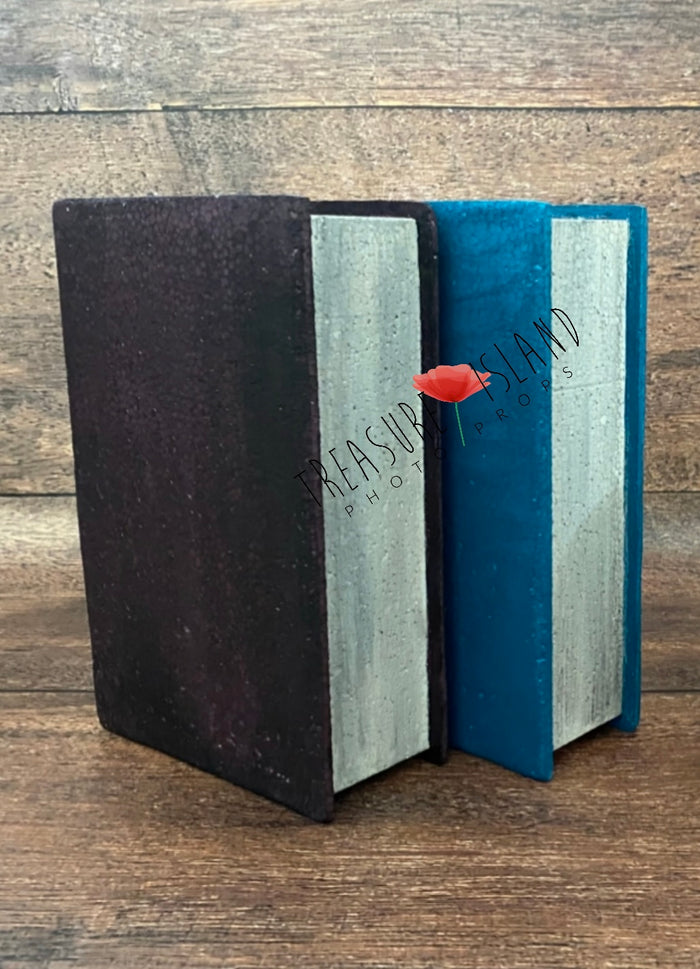 GIANT BOOKS - School props