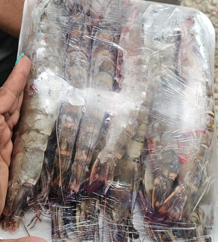 GIGANTIC MOZ TIGER PRAWNS 2KG LIMITED LIFETIME OFFER