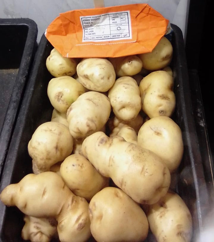 HALF POCKET +-4.5KG CLASS 1 UP TO DATE POTATOES