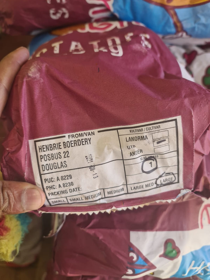 HALF POCKET +-4.5KG CLASS 1 UP TO DATE POTATOES