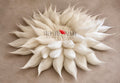 White hand-felted wool petal blanket with dimensional wool texture for newborn photography