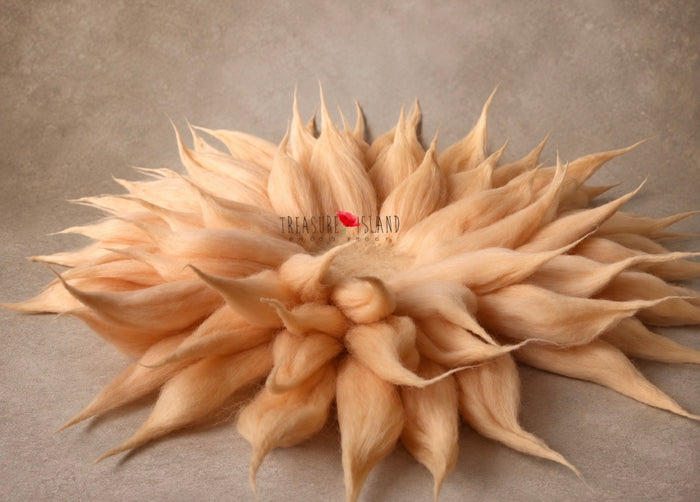 Apricot whisper hand-felted wool petal blanket for newborn and sitter photography