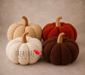 Handmade pumpkin photography props in ivory, cream, rust and brown for newborn and sitter autumn sessions