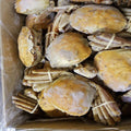 JUMBO ORANGE CRAB 5 KG