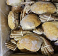 KING ORANGE CRAB  -+2kg  approx 2 crab
