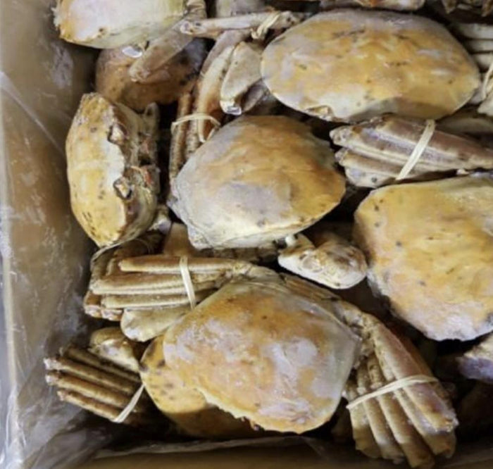 KING ORANGE CRAB  -+2kg  approx 2 crab