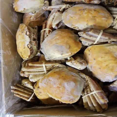 KING ORANGE CRAB  -+4kg 4 crab