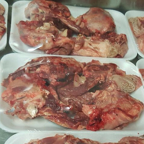 LAMB JAW BONES - PACK of 4 jaws
