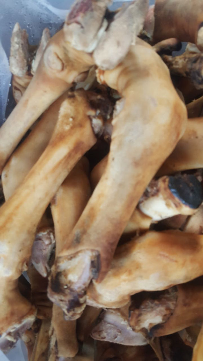 LAMB TROTTERS